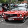IMG_4251