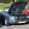 IMG_3291