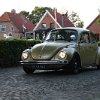 IMG_2461