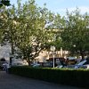 IMG_1524