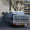 IMG_1031