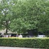IMG_1704