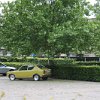 IMG_1705